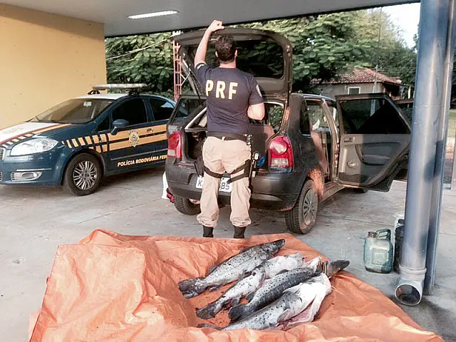 PRF apreende homens com pescado capturado ilegalmente