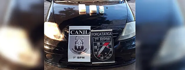 Após suspeita de policiais, cães farejadores encontram drogas em veículo