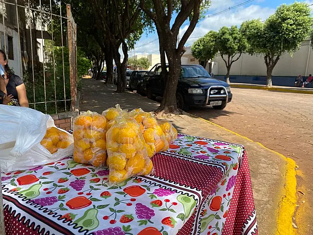 Festa do Pequi anima feirantes e movimenta economia local em Aquidauana