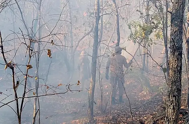 Corpo de Bombeiros monitora incêndios com imagens de satélite e amplia fiscalização em áreas de foco