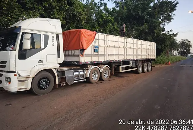 PMA apreende carga de 28 m³ de madeira ilegal