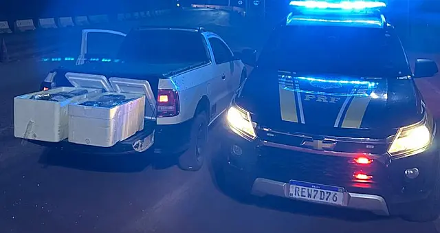 Mais de 33 kg de skunk são apreendidos na BR-262 em Corumbá