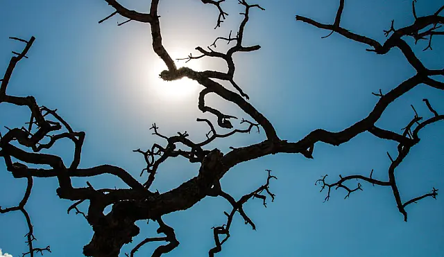 Brasil registra recorde da temperatura média pelo quarto mês seguido