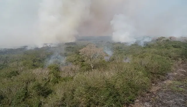 Com reforço de Aquidauana e Jardim, combate a incêndios é feito em duas regiões no Pantanal