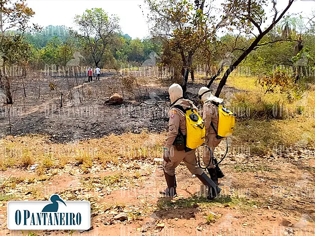 Vídeo: Bombeiros combatem incêndio na Lagoa Comprida