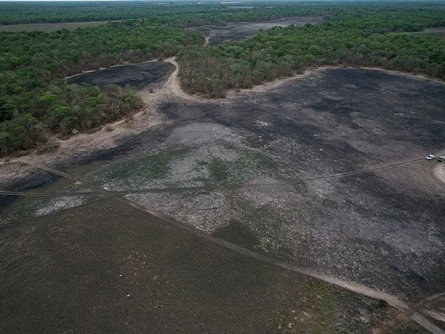 MPMS investiga incêndios que consumiram 1.045 hectares em Aquidauana