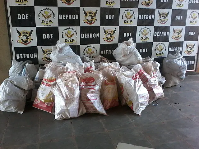 DOF apreende veículo carregado com 452 kg de maconha na MS-164