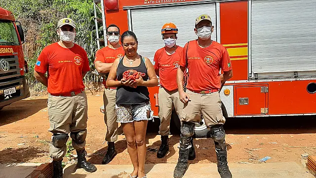 Corpo de bombeiros é acionado para resgatar filhote de cadela em fossa de residência