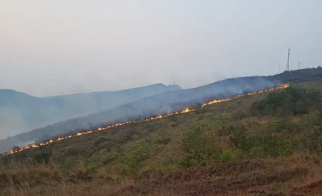 Incêndio a 80 km de Corumbá exige reforços do Corpo de Bombeiros