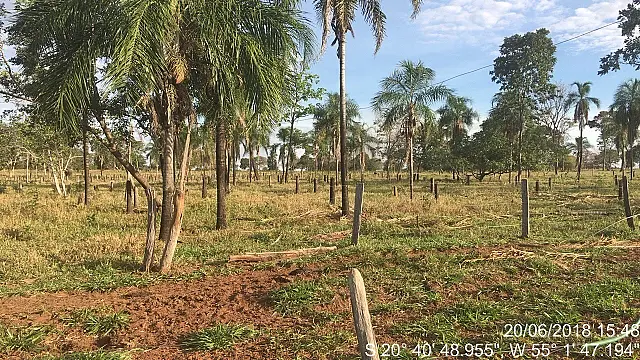 PMA autua 5º proprietário rural em R$ 7,7 mil em três dias por desmatamento