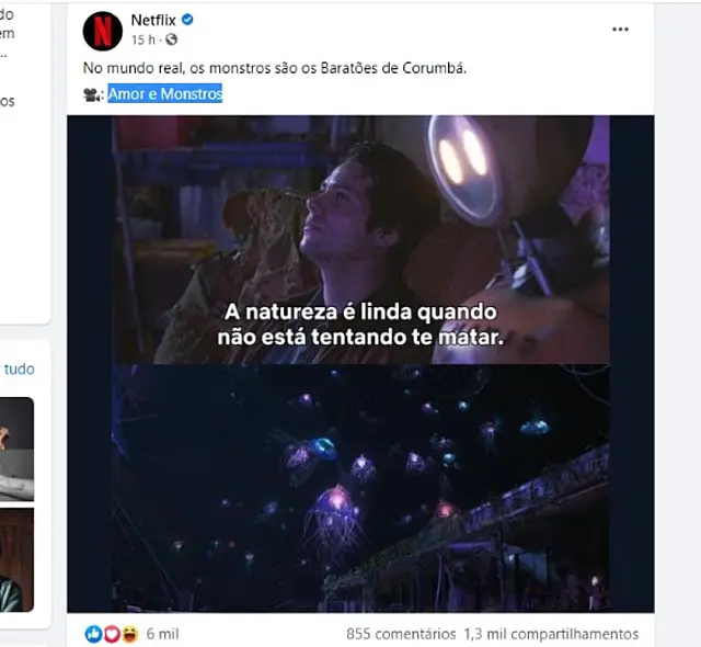 Em publicação nas redes sociais Netflix faz menção aos baratões de Corumbá