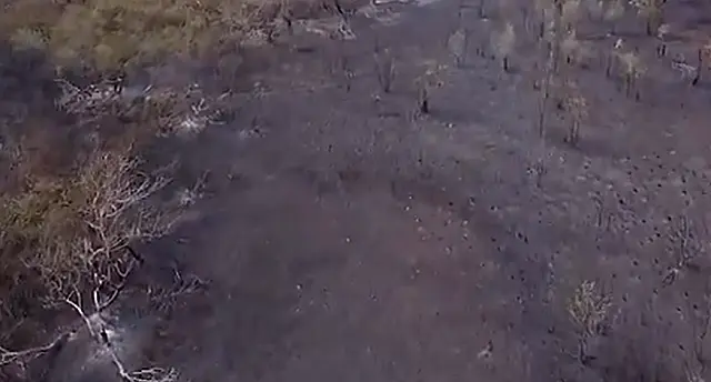 Incêndios devastam área de recuperação no Pantanal