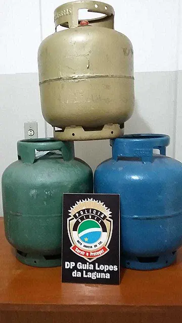Polícia Civil de Guia Lopes soluciona furto e recupera objetos
