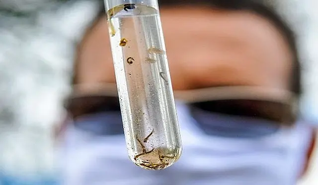 MS lança campanha de enfrentamento à dengue, zika e chikungunya
