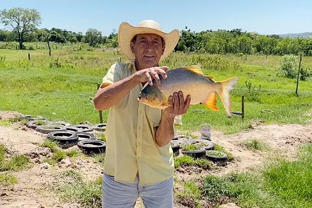 Nioaquense é destaque na produção de peixes
