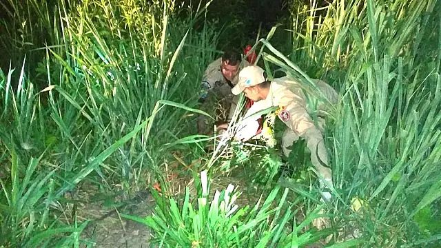 Homem resgatado ferido em meio a jacarés no Pantanal de MS recebe alta