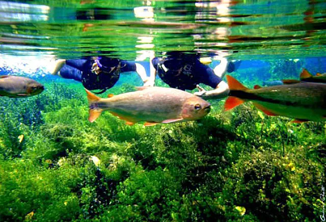 Investimentos do Estado transformaram Bonito em referência no ecoturismo mundial