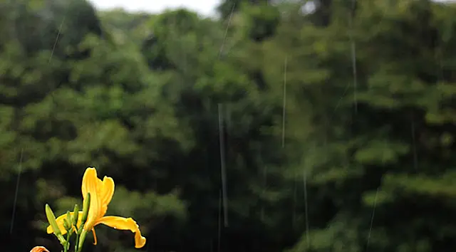 Dia será nublado com leve queda nas temperaturas