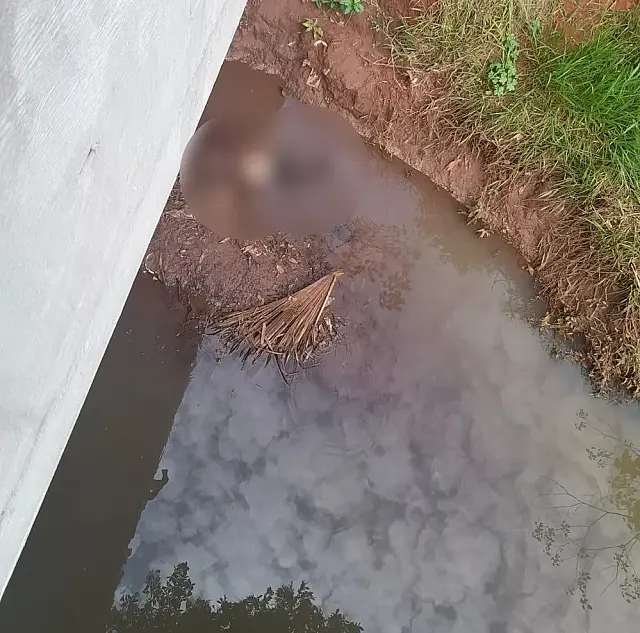 Corpo de mulher é encontrado em córrego de Campo Grande