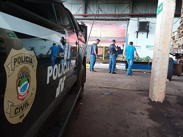 Polícia Civil incinera 205,53 kg de entorpecentes
