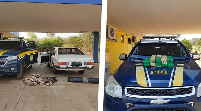 Abordagens resultam em apreensão de 36 kg de maconha e skunk