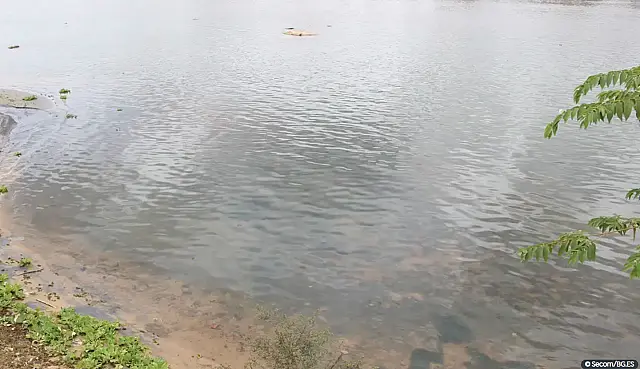 UFRJ desenvolve teste rápido para detectar água contaminada