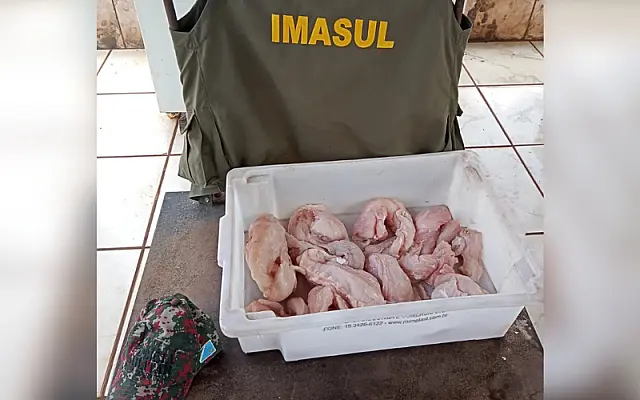 PMA de Anastácio prende 3 e multa em R$ 12 mil por carne de jacaré abatido