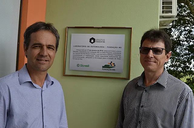 Sicredi Pantanal MS quadruplica resultados em quatro anos de atuação