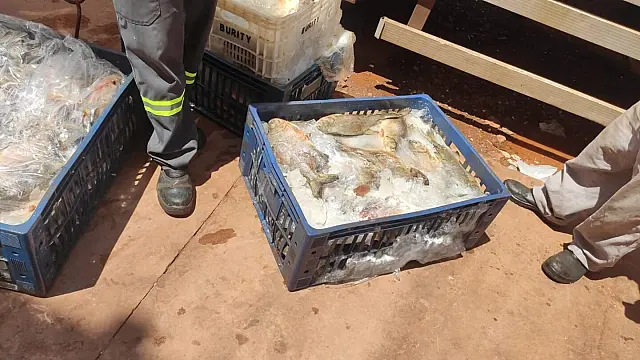 Dono de mercado é preso por venda de produtos impróprios para consumo na Capital