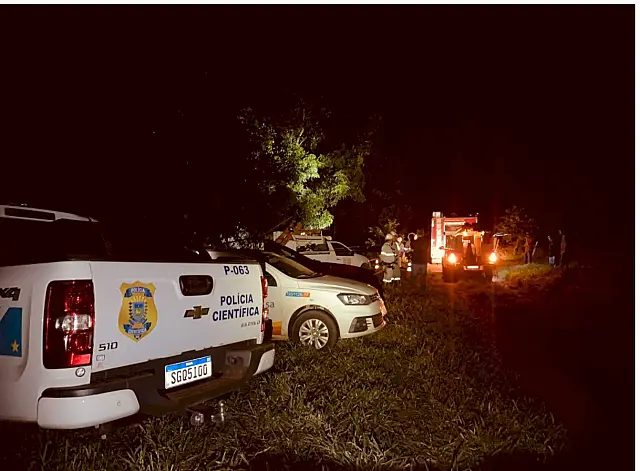 Homem morre durante poda de árvore em Nova Andradina