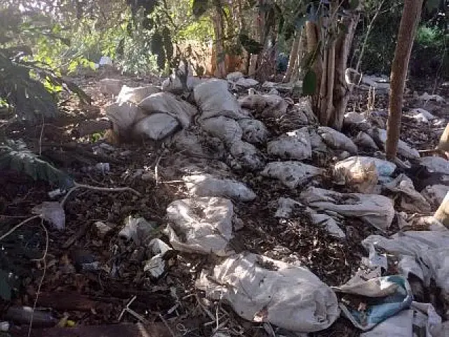 Crime ambiental: PMA de Aquidauana aplica multa de R$ 30 mil a idosa