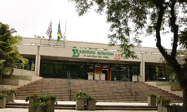 Vacina contra a dengue do Butantan atinge eficácia de 79,6%