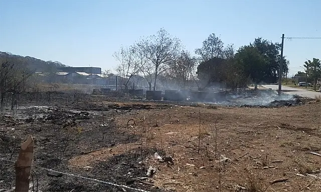 Bombeiros combatem fogo em área de mata em Corumbá