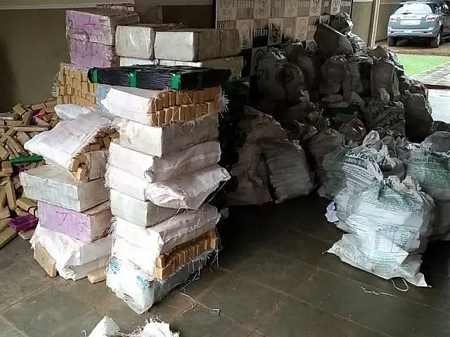 Apreensão de maconha chega a quase 180 toneladas em MS