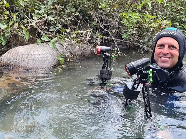 Fotógrafo tira foto ao lado de uma sucuri digerindo uma capivara