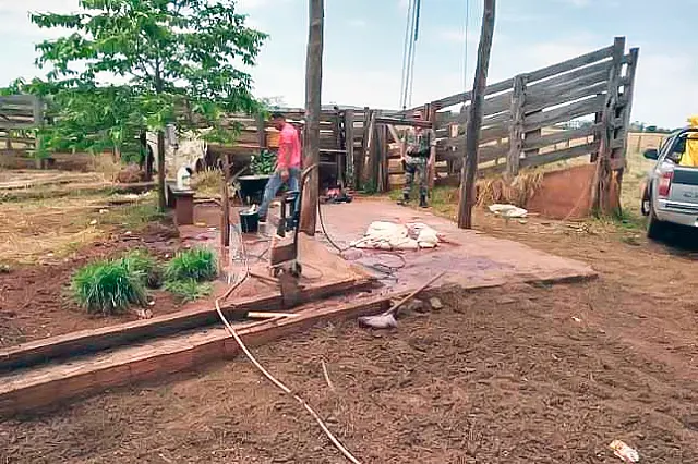 Abatedouros clandestinos em assentamento são fechados