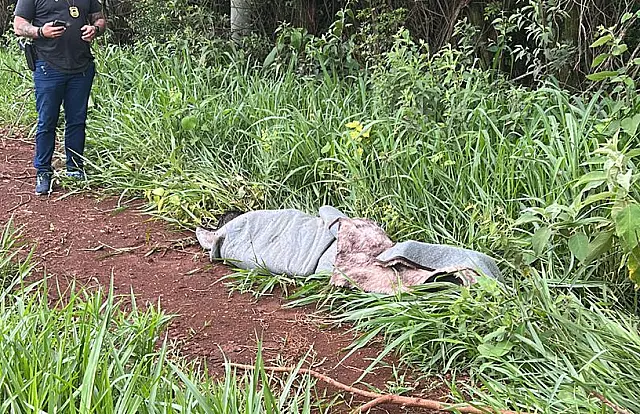 Cinco jovens são presos por matar padre e roubar carro em MS