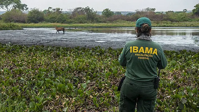 Ibama pode agir no combate a dano ambiental se estados forem omissos