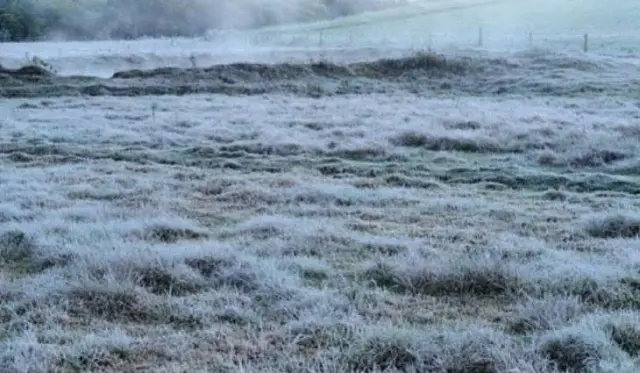 Frio de até 2°C e geada em MS exigem cuidados com a saúde