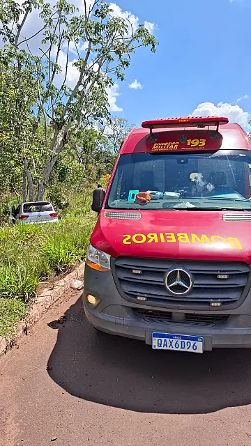 Casal fica ferido após carro sair da pista e bater em árvore na BR-262