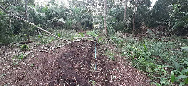 Homem é multado em R$ 5 mil por derrubar mata em Nioaque