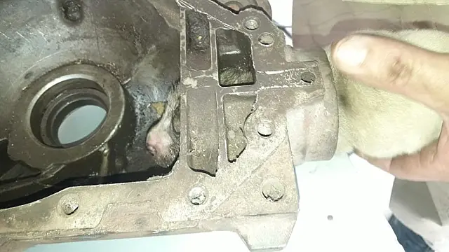 Bombeiros resgatam filhotinho preso em motor