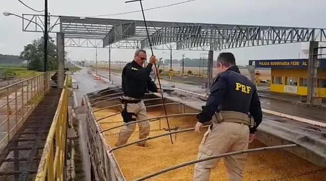 PRF apreende 11 toneladas de maconha que estavam escondidas em carga de milho