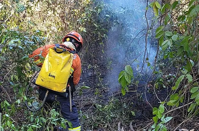 Bombeiros de MS atuam para controlar chamas em diferentes áreas do Pantanal