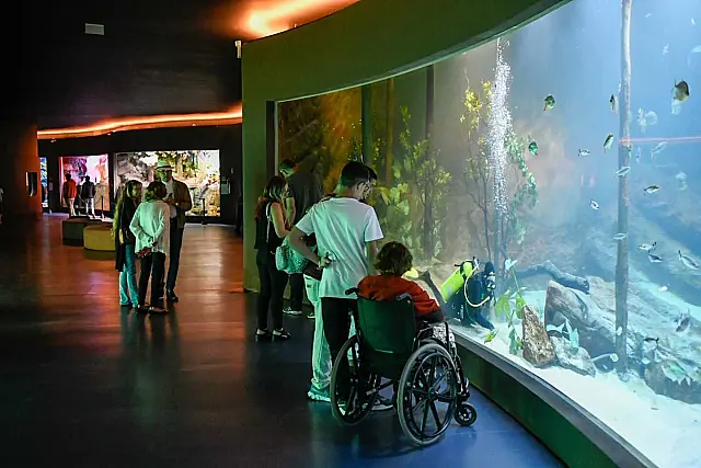 Bioparque Pantanal amplia número de vagas para visitantes