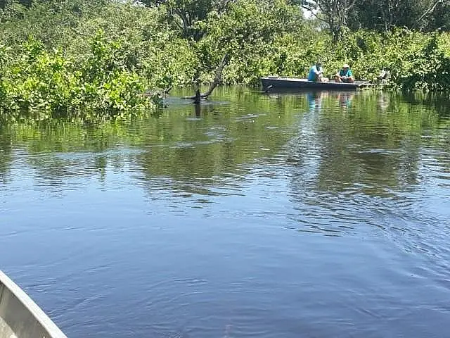 Veja vídeo: Arrastado por correnteza, peão cai do cavalo e morre afogado no Pantanal