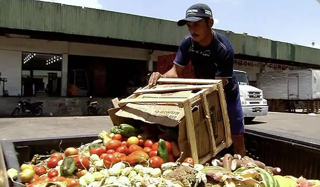 Pesquisa traz dicas sobre como reduzir desperdício de alimentos