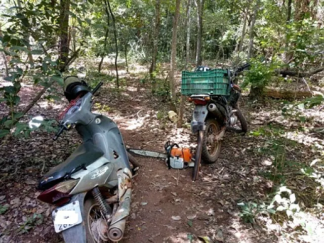 PMA autua infratores por derrubar 52 aroeiras de reserva em Anastácio