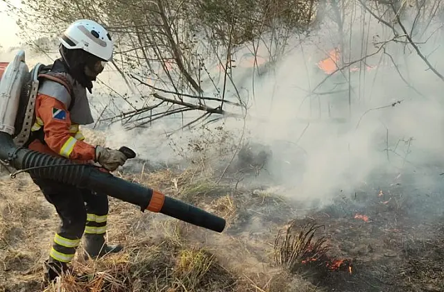 Mulheres se destacam no combate aos incêndios no Pantanal de MS