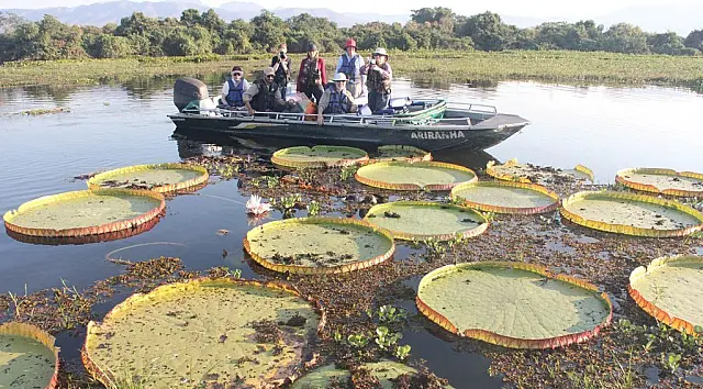Com tantas opções para ecoturismo, MS tem excelentes destinos para viagem no feriado